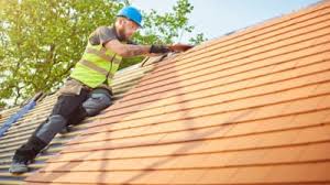 Best Roof Insulation Installation  in Mason Neck, VA