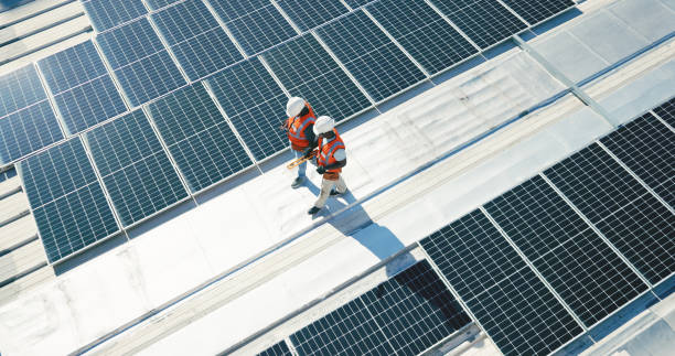Best Roof Moss and Algae Removal  in Mason Neck, VA