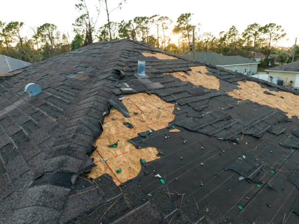 Best Emergency Roof Repair Services  in Mason Neck, VA